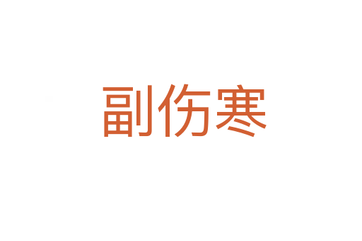 副伤寒