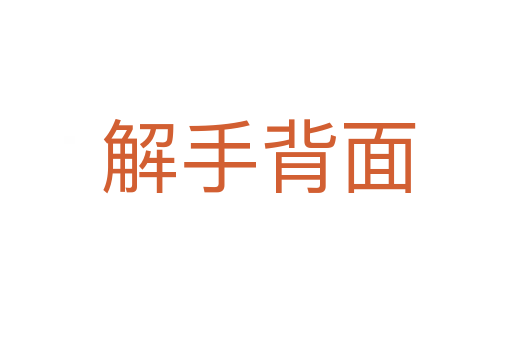 解手背面