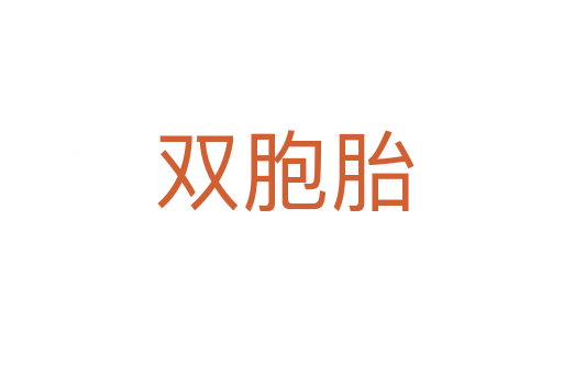 双胞胎