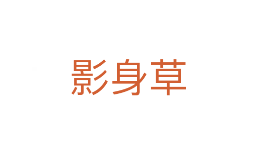 影身草