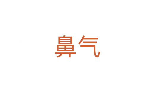 鼻气
