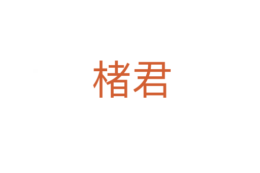 楮君