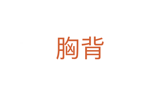 胸背