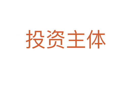 投资主体