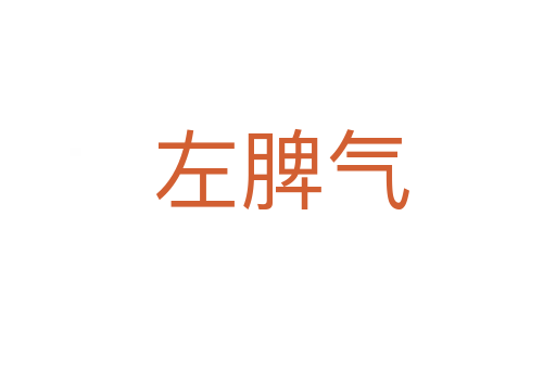 左脾气