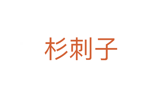 杉刺子
