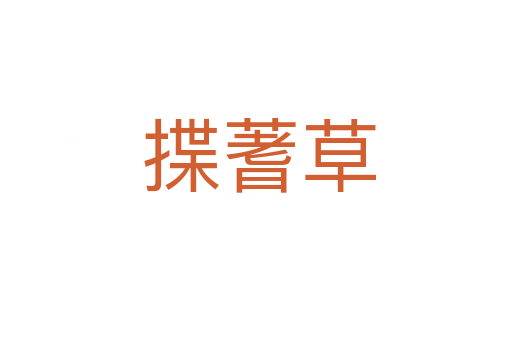 揲蓍草