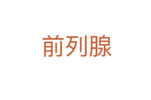 前列腺