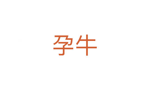 孕牛