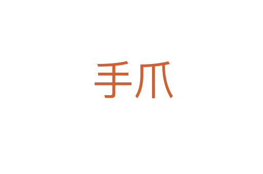 手爪