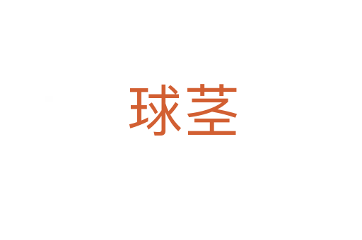 球茎