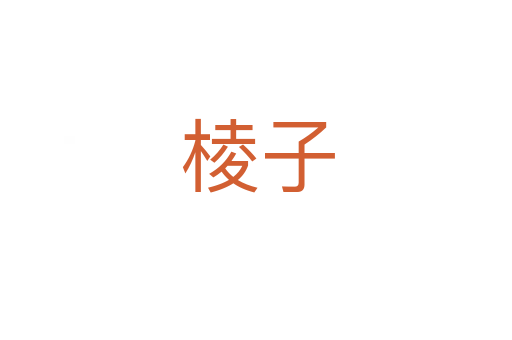 棱子