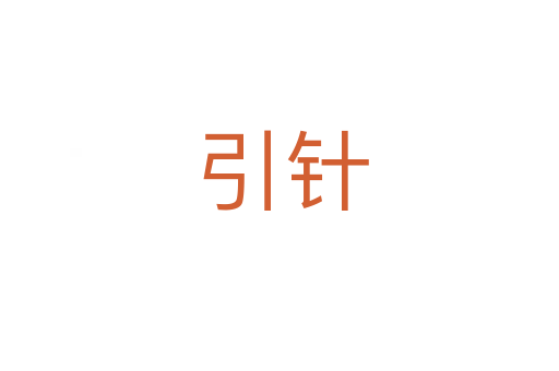 引针