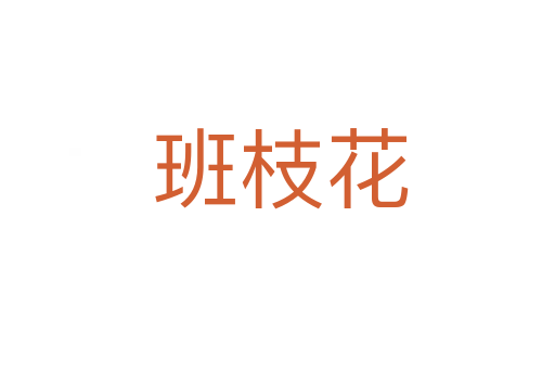 班枝花