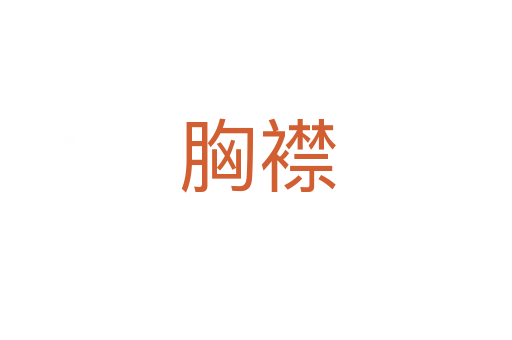 胸襟