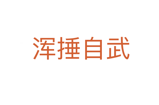 浑捶自武