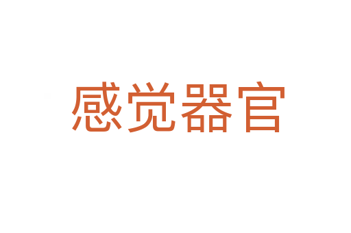 感觉器官