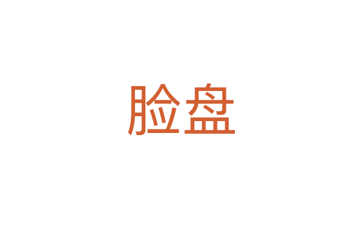 脸盘