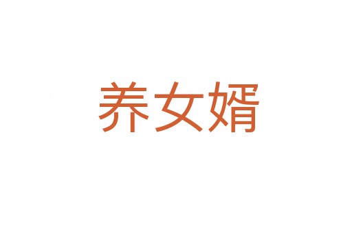 养女婿