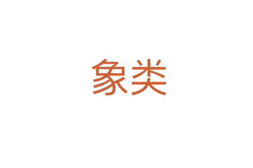 象类