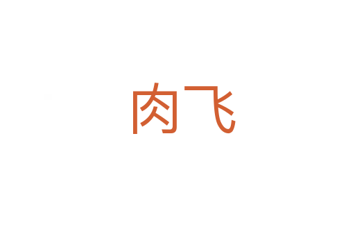 肉飞
