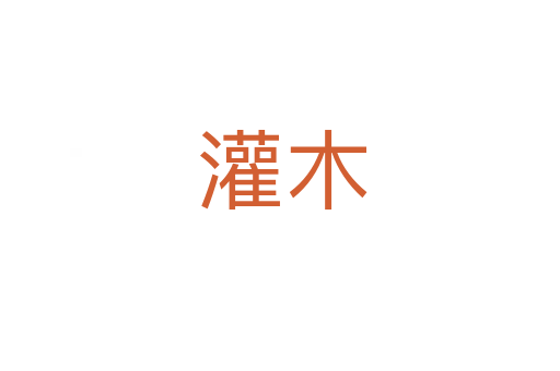 灌木