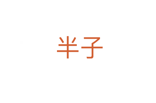 半子