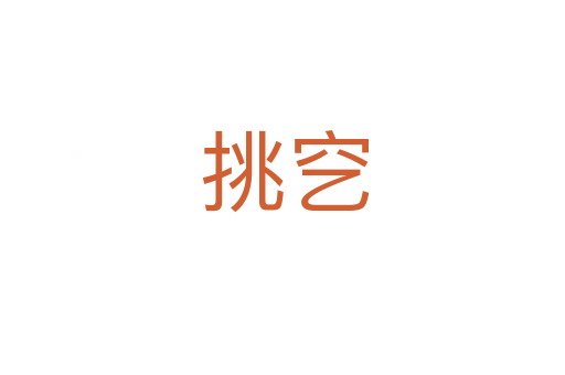 挑穵