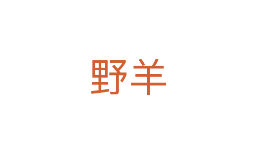 野羊