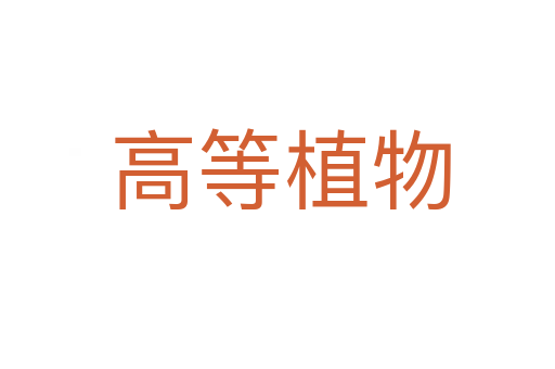 高等植物