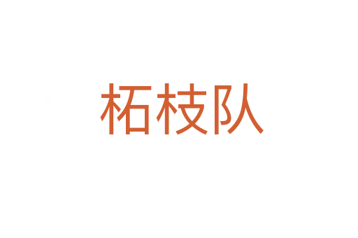 柘枝队