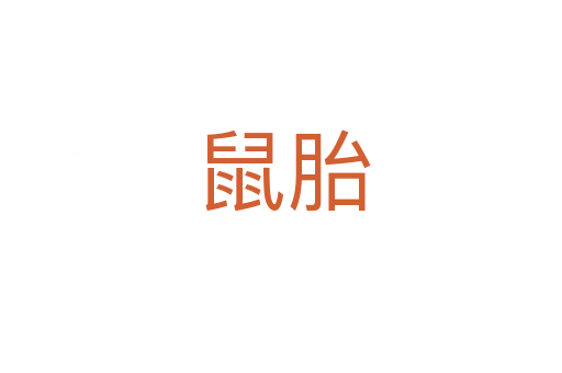 鼠胎