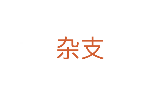 杂支