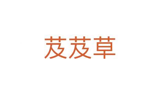 芨芨草