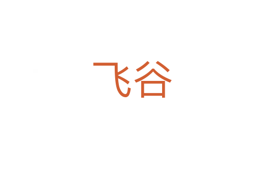 飞谷