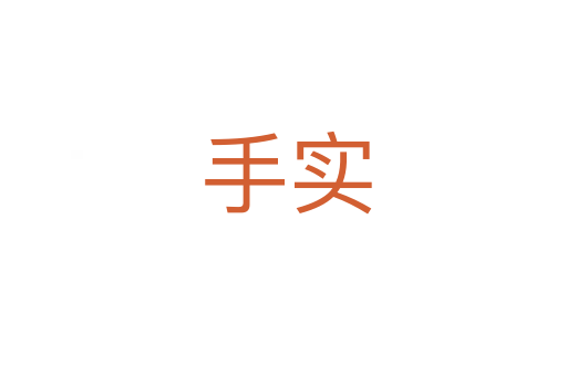 手实