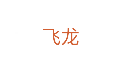 飞龙