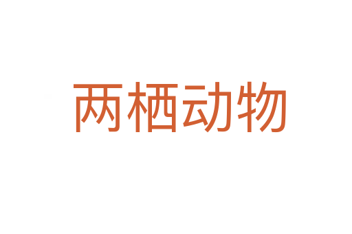 两栖动物