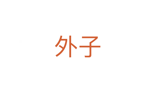 外子