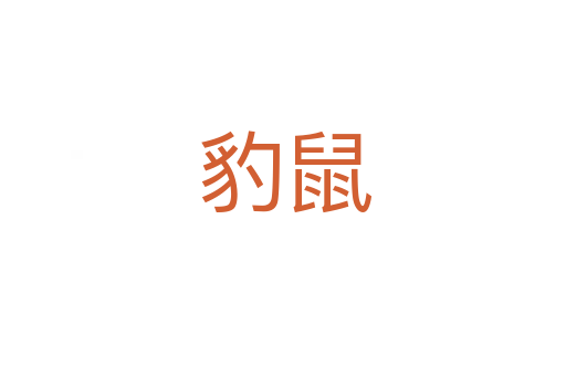 豹鼠