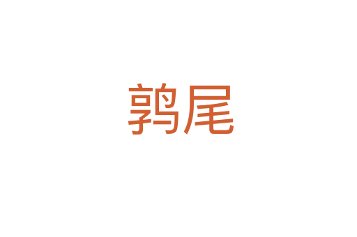 鹑尾