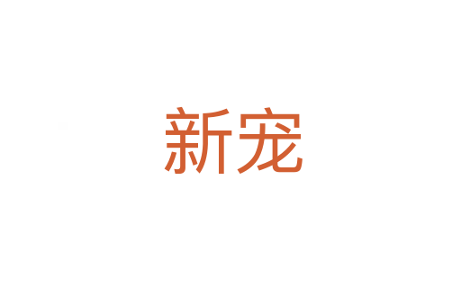 新宠