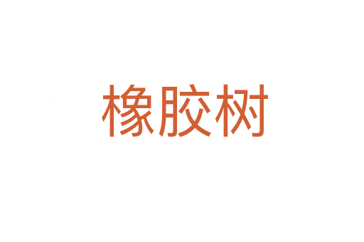 橡胶树