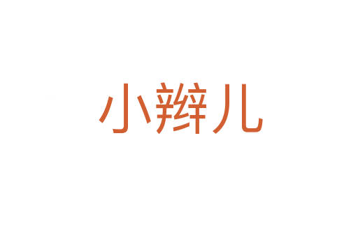 小辫儿