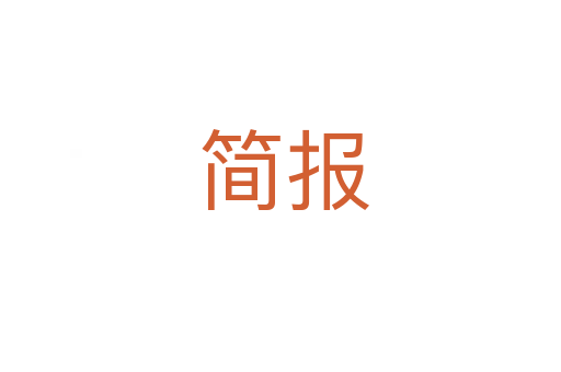 简报