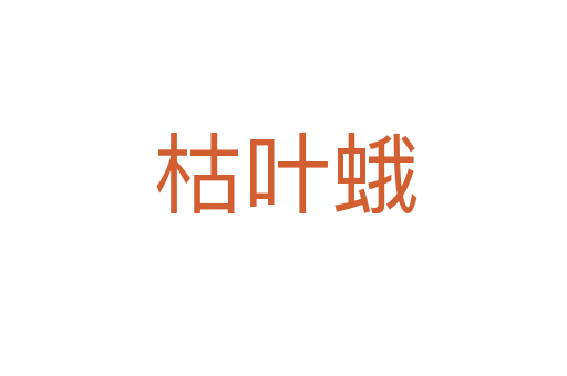 枯叶蛾
