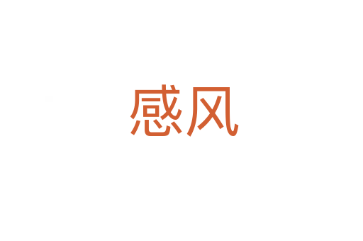 感风