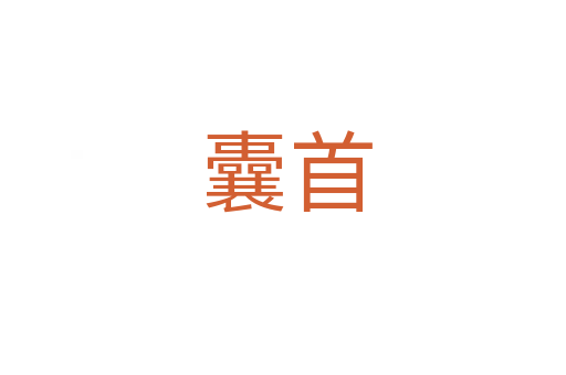 囊首