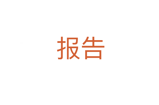 报告