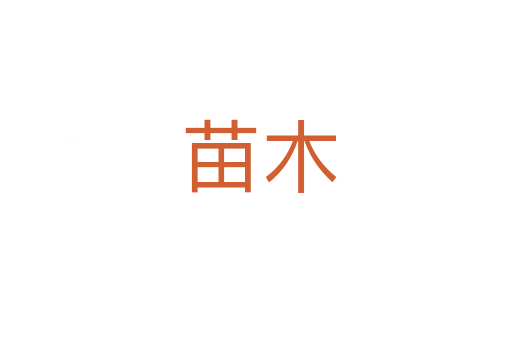 苗木